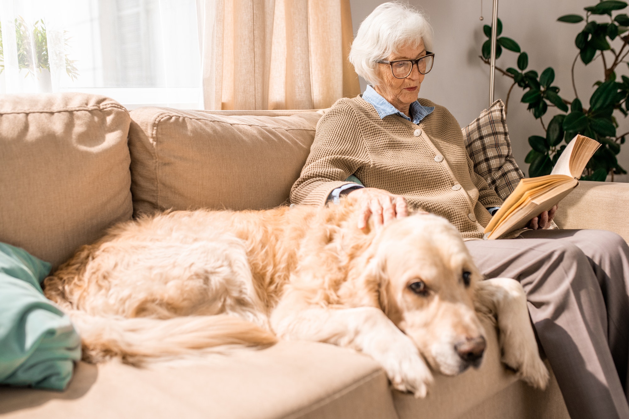 Senior Lady Reading Book with Dog